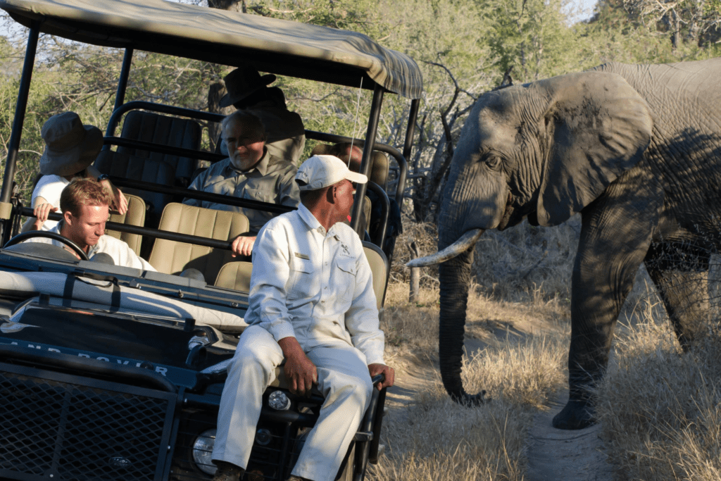 GIN-OTA-South-Africa-safari with elephant